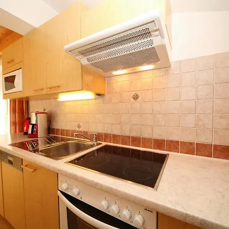 Apartment Steiner Schladming
