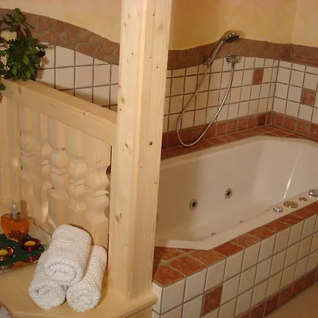 Apartment Steiner