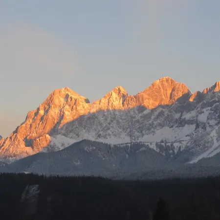 Steiner Appartement *