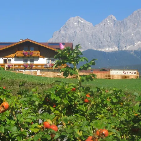 アパート Steiner *