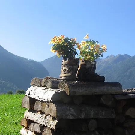 Appartement Steiner *