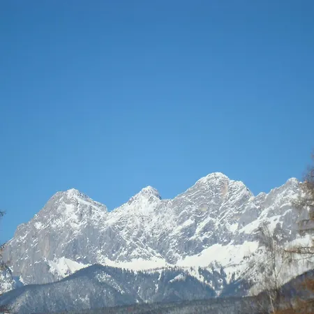 アパート Steiner