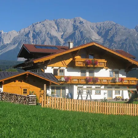 Steiner * シュラートミンク