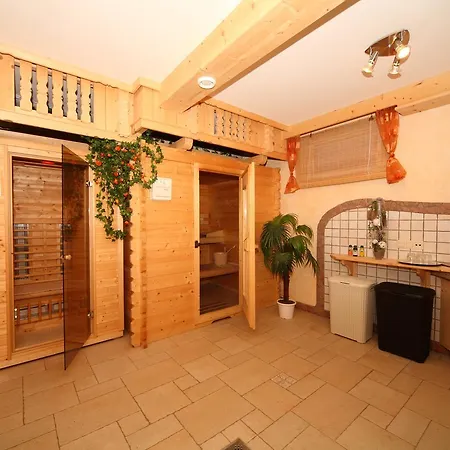 Steiner Apartment Schladming