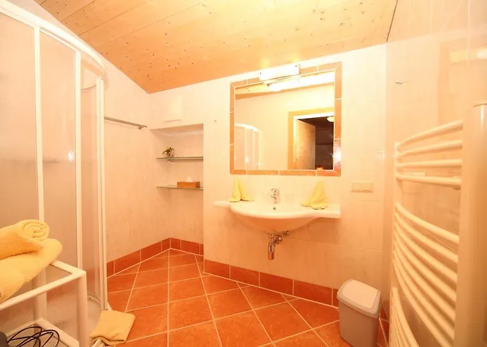 Apartament Steiner *