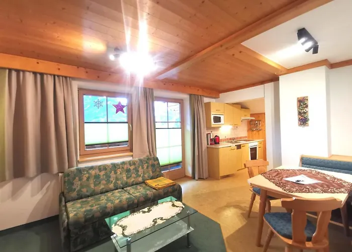 Apartament Steiner *