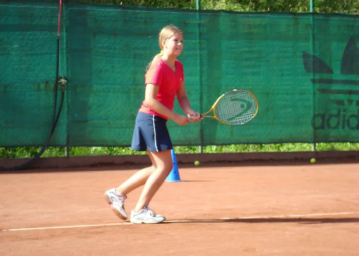 Steiner * שלאדמינג