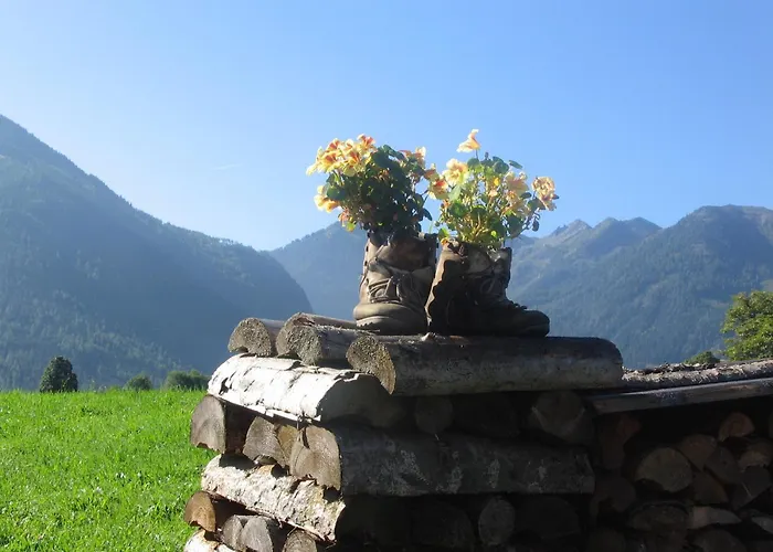 Apartament Steiner *